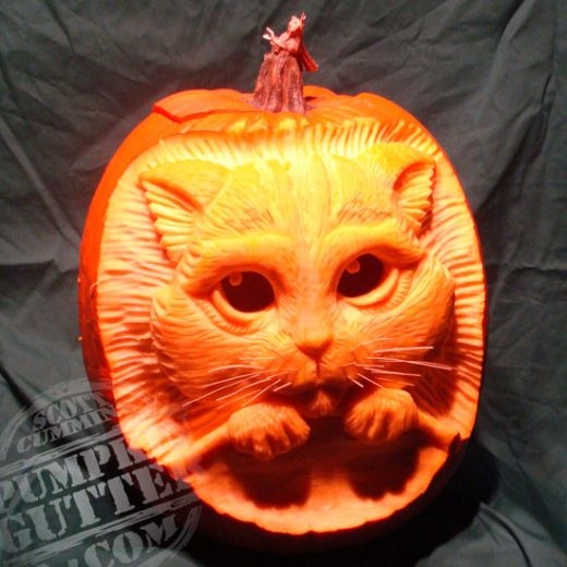 Cat Halloween Pumpkin