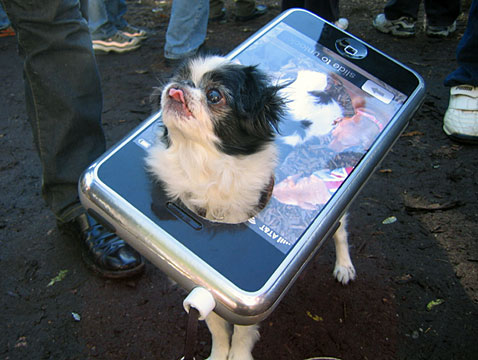 Funny Dog Loves being iPhone