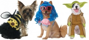 Dogs Partying in Funny Halloween Costumes